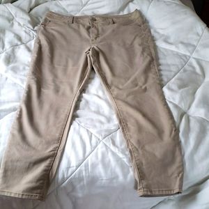 Time and Tru Khakis